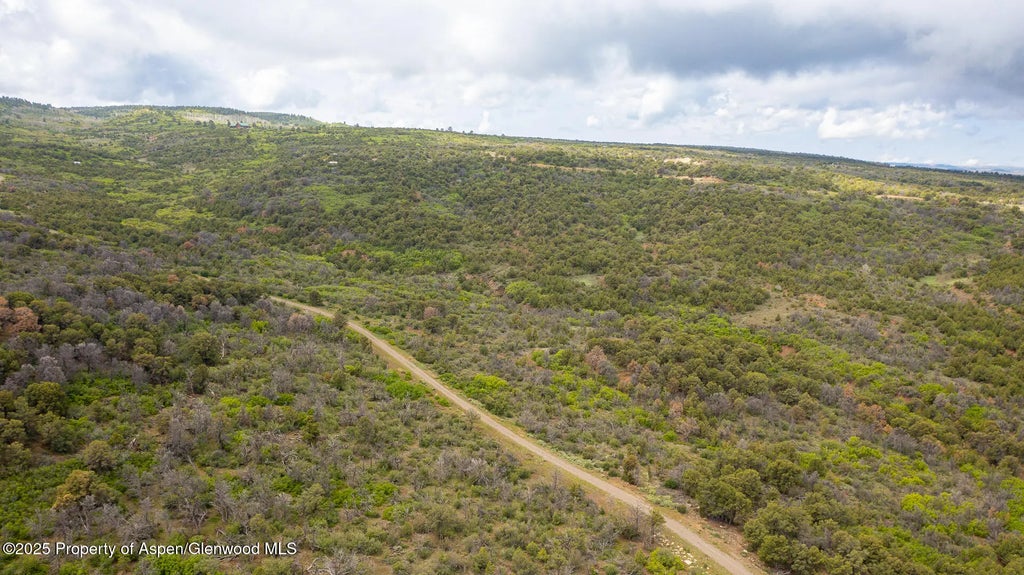 20 of 21 - 18973 Elk Reserve Road, Glade Park, CO