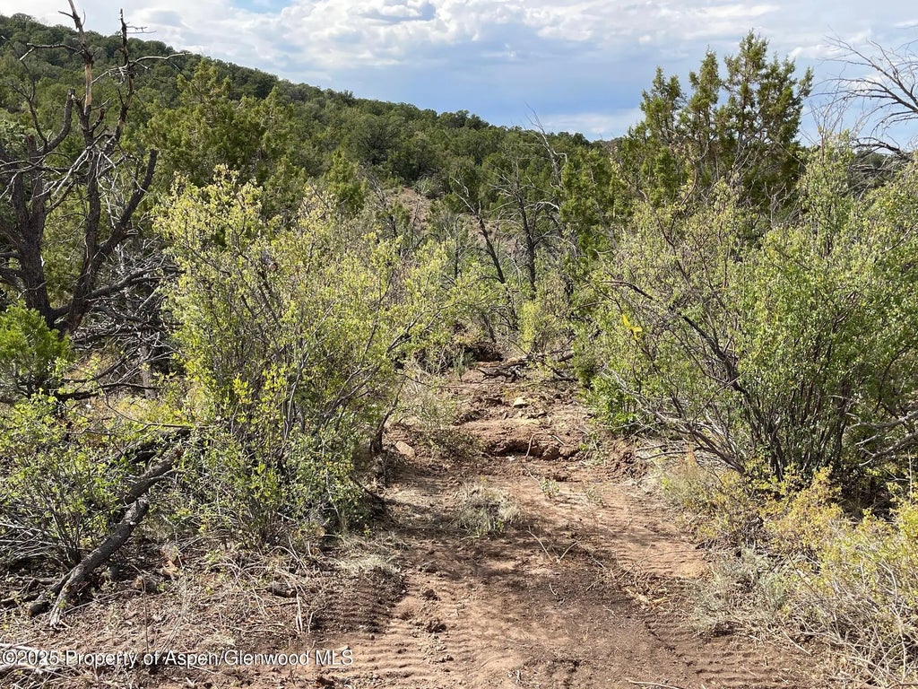 9 of 21 - 18973 Elk Reserve Road, Glade Park, CO