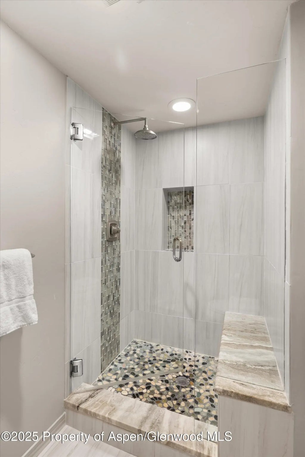 12 of 12 - 731 E Durant Avenue 22, Aspen, CO