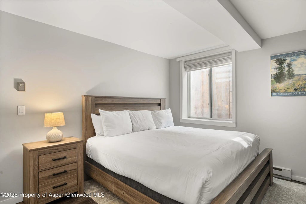 9 of 12 - 731 E Durant Avenue 22, Aspen, CO