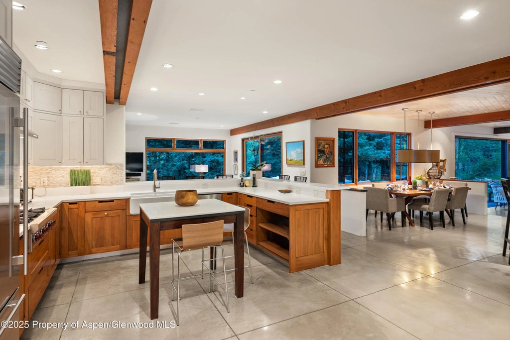 17 of 50 - 256 Twining Flats Road, Aspen, CO