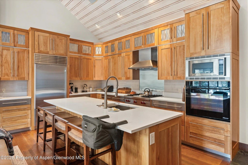 35 of 50 - 256 Twining Flats Road, Aspen, CO