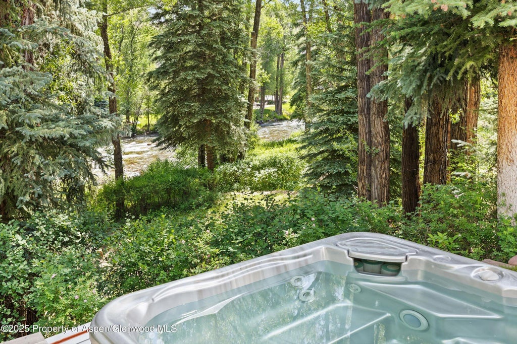 5 of 50 - 256 Twining Flats Road, Aspen, CO