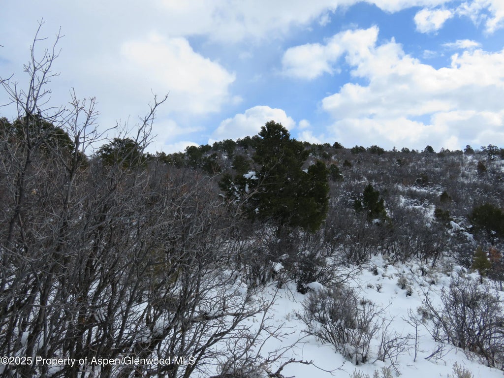 6 of 20 - Tbd 117 County Road, Glenwood Springs, CO