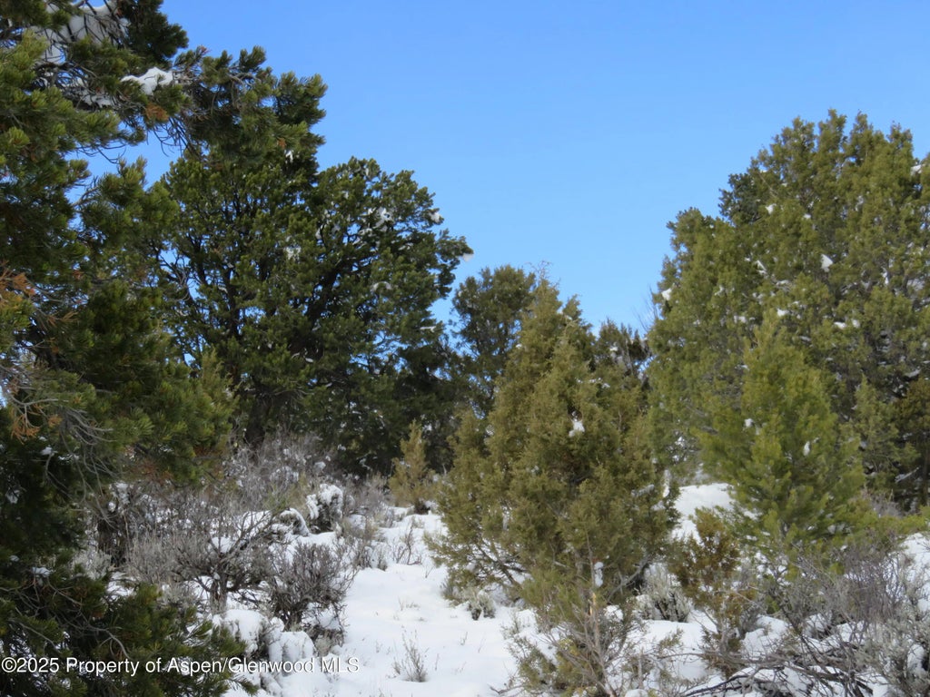 9 of 20 - Tbd 117 County Road, Glenwood Springs, CO