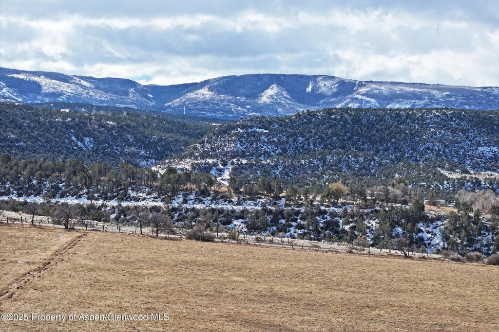 10 of 15 - 12482 54 7/10 Road, Collbran, CO