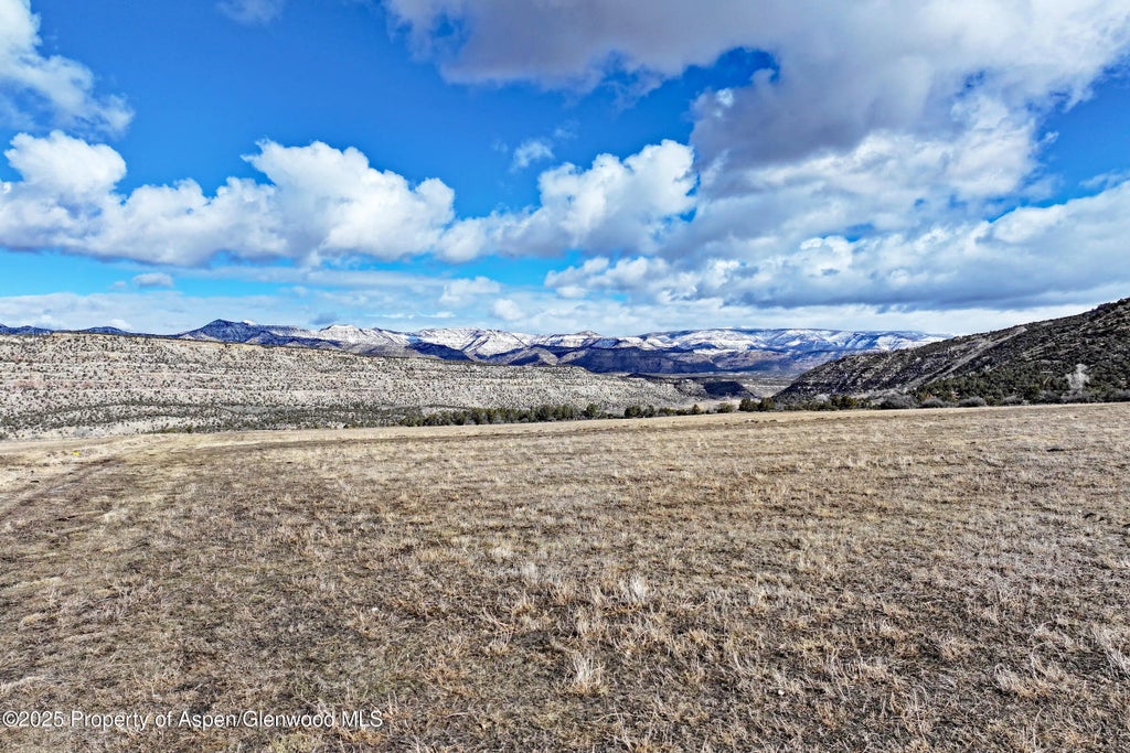 13 of 15 - 12482 54 7/10 Road, Collbran, CO