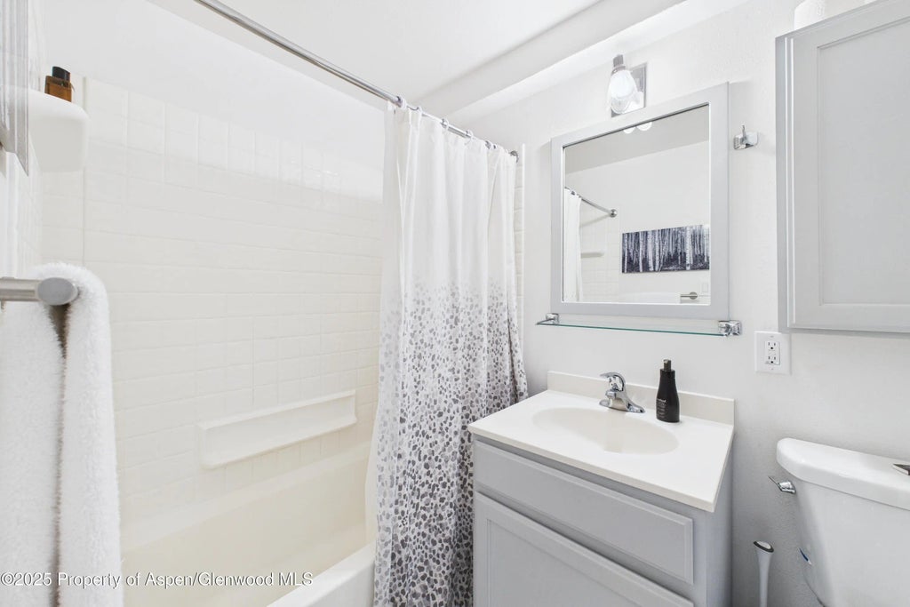 11 of 12 - 119 E Cooper Avenue 24, Aspen, CO