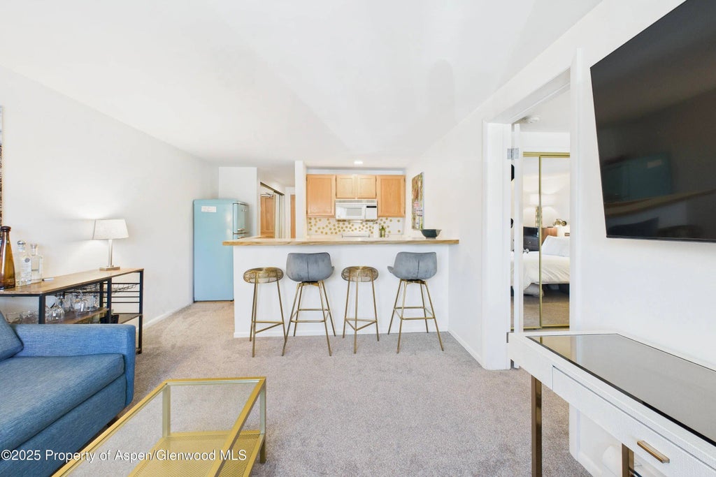 3 of 12 - 119 E Cooper Avenue 24, Aspen, CO