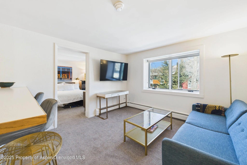 6 of 12 - 119 E Cooper Avenue 24, Aspen, CO
