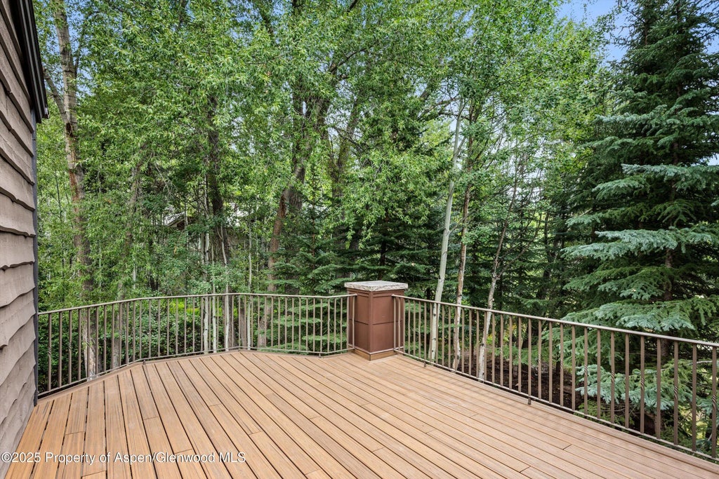 21 of 33 - 440 Alpine Court, Aspen, CO