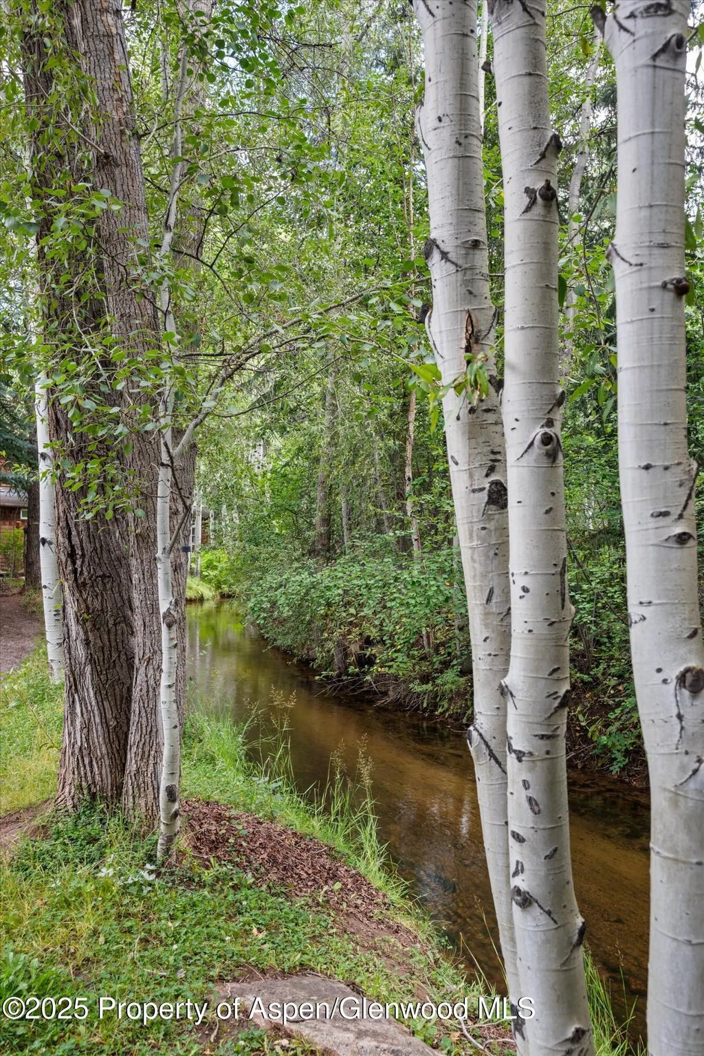 33 of 33 - 440 Alpine Court, Aspen, CO