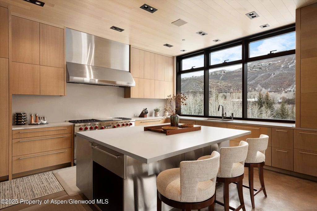 10 of 54 - 276 Coach Road, Aspen, CO