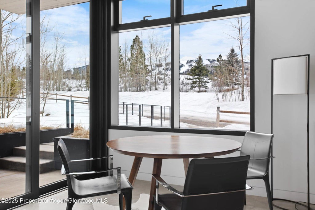 49 of 54 - 276 Coach Road, Aspen, CO