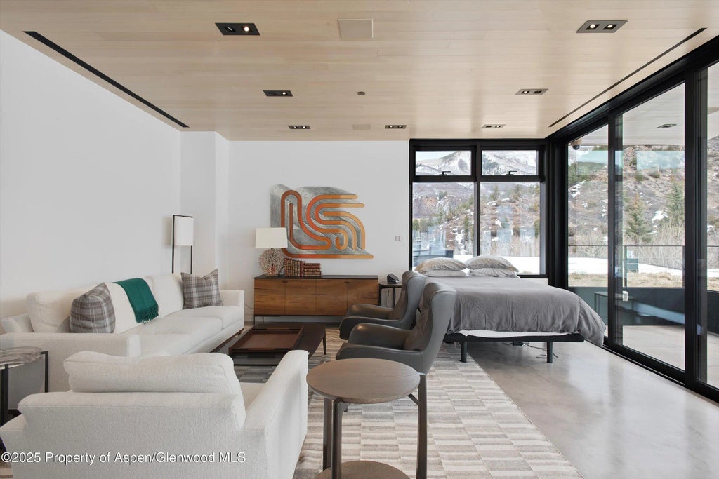 50 of 54 - 276 Coach Road, Aspen, CO
