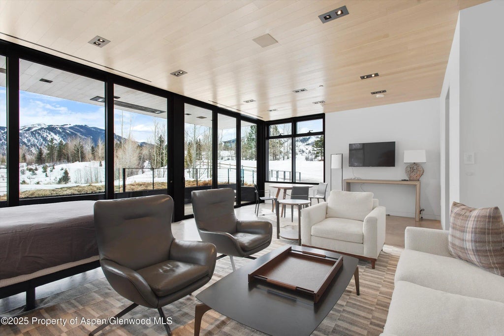 52 of 54 - 276 Coach Road, Aspen, CO