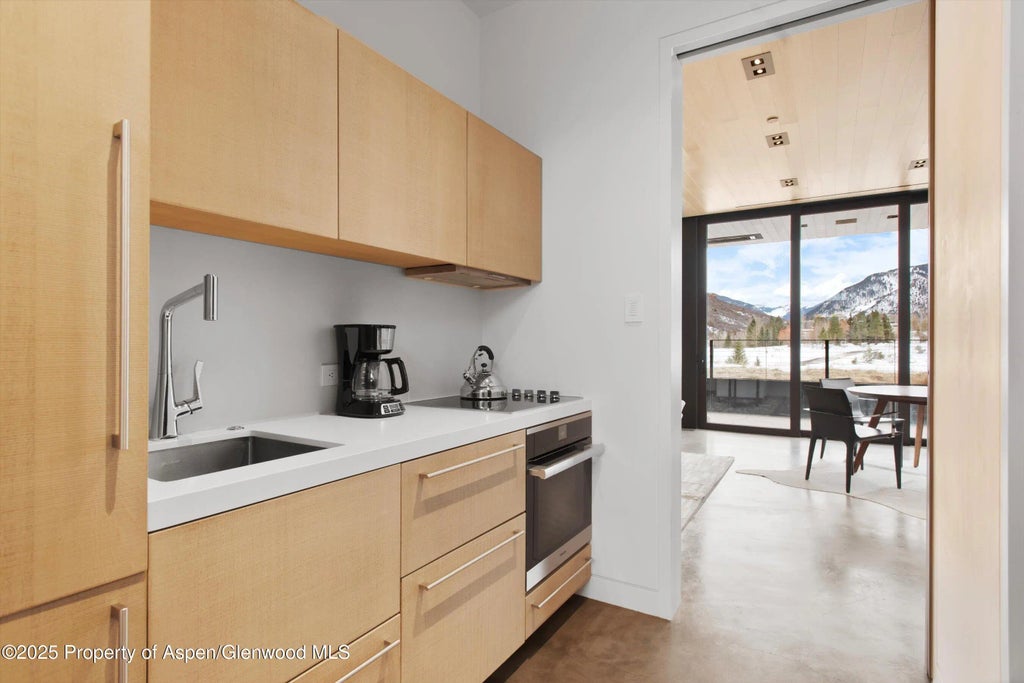 53 of 54 - 276 Coach Road, Aspen, CO