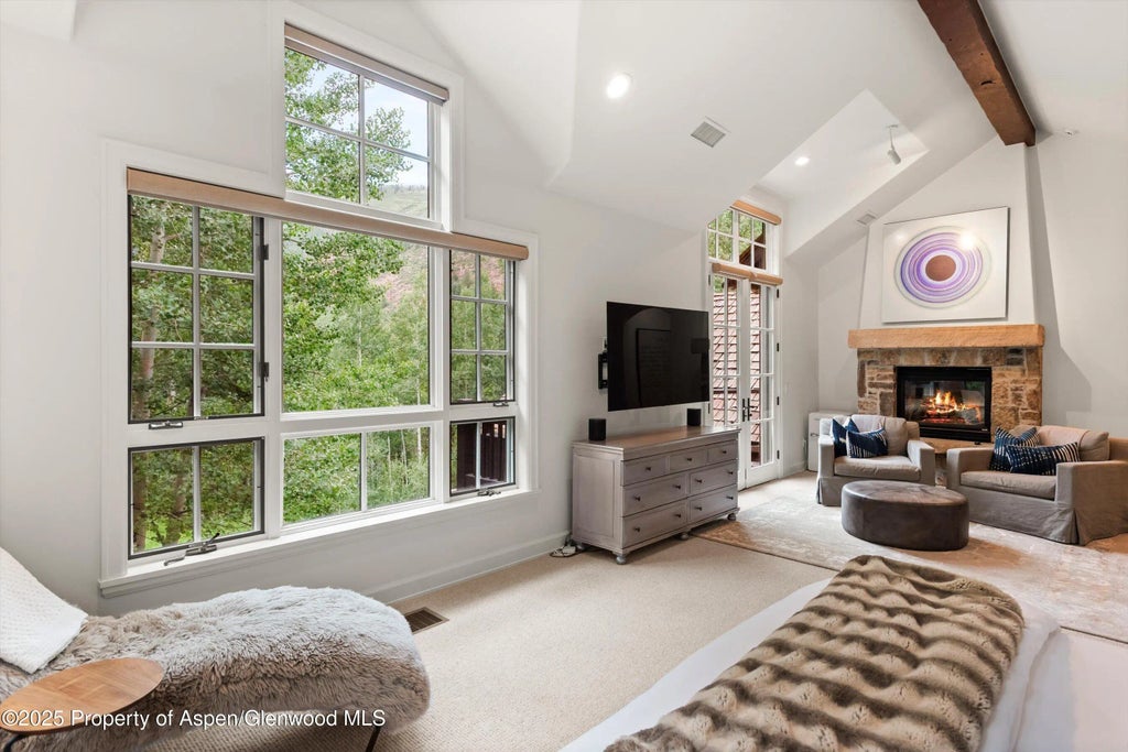 11 of 46 - 289 Exhibition Lane, Aspen, CO