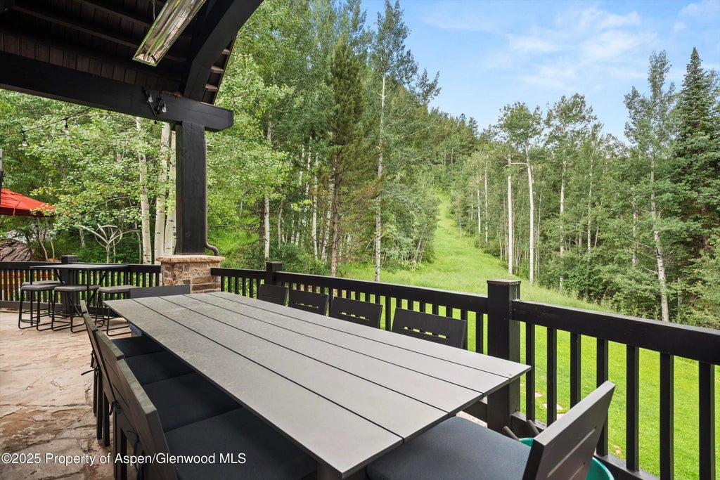 33 of 46 - 289 Exhibition Lane, Aspen, CO