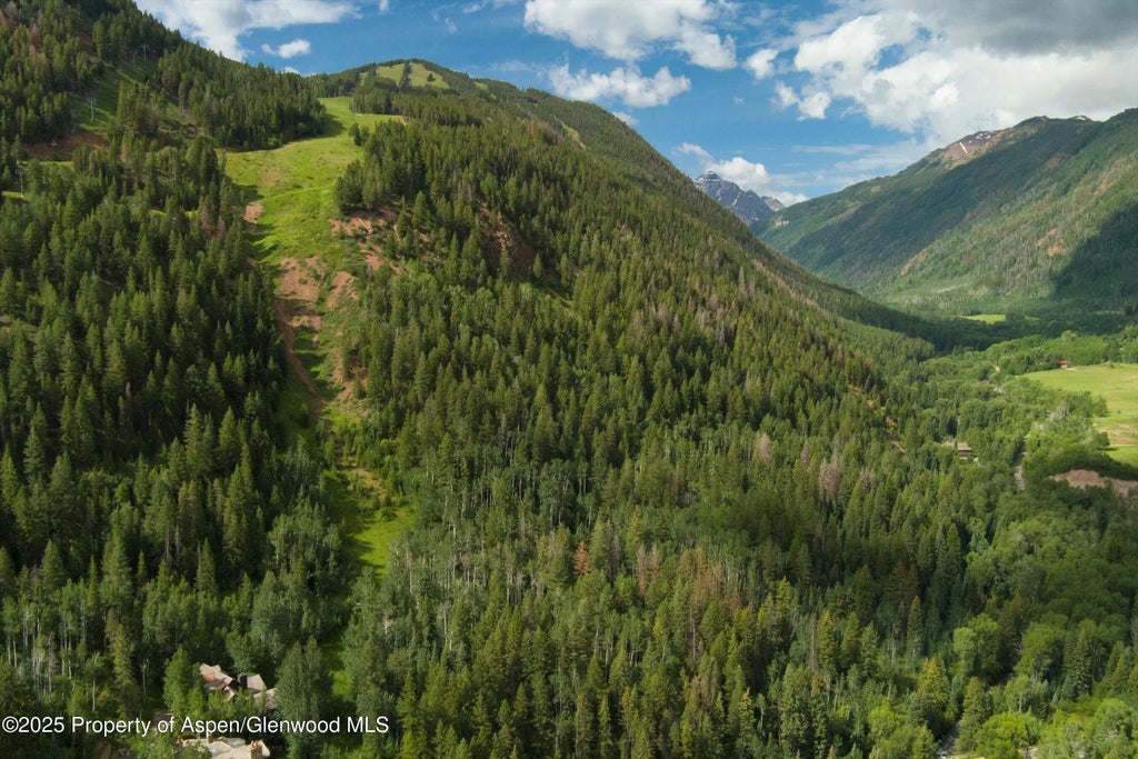 39 of 46 - 289 Exhibition Lane, Aspen, CO