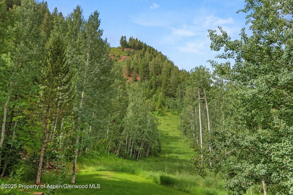 43 of 46 - 289 Exhibition Lane, Aspen, CO