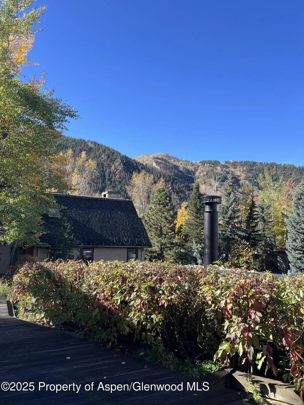 13 of 32 - 201 Midland Avenue, Aspen, CO