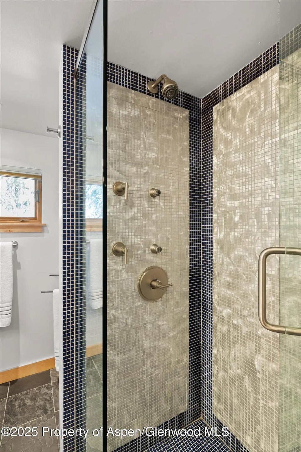 21 of 32 - 201 Midland Avenue, Aspen, CO