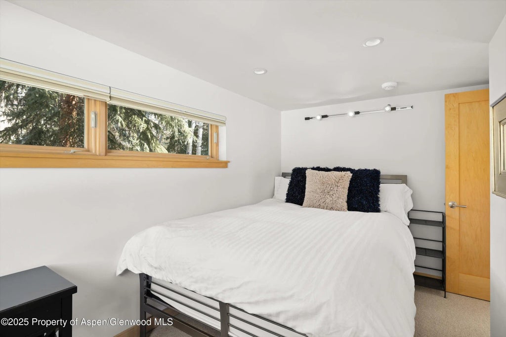 22 of 32 - 201 Midland Avenue, Aspen, CO