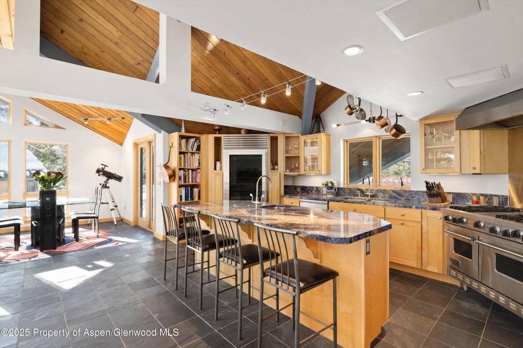 8 of 32 - 201 Midland Avenue, Aspen, CO