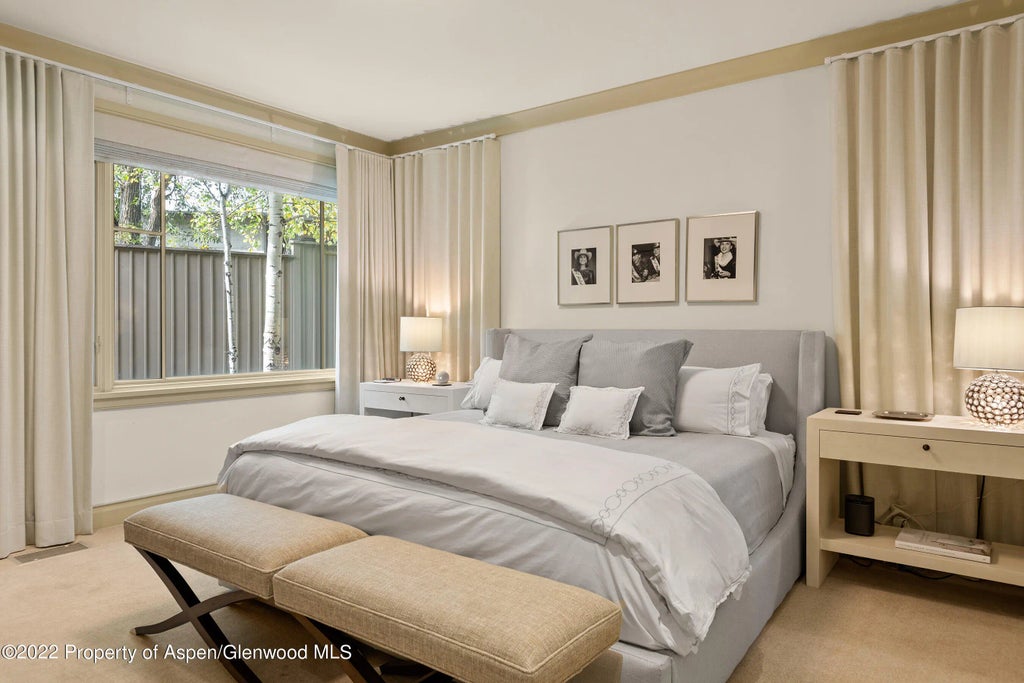 14 of 31 - 509 W Hopkins Avenue, Aspen, CO