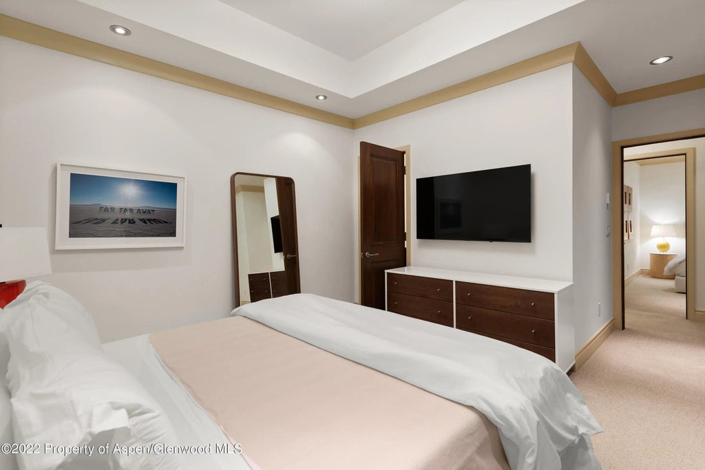 24 of 31 - 509 W Hopkins Avenue, Aspen, CO