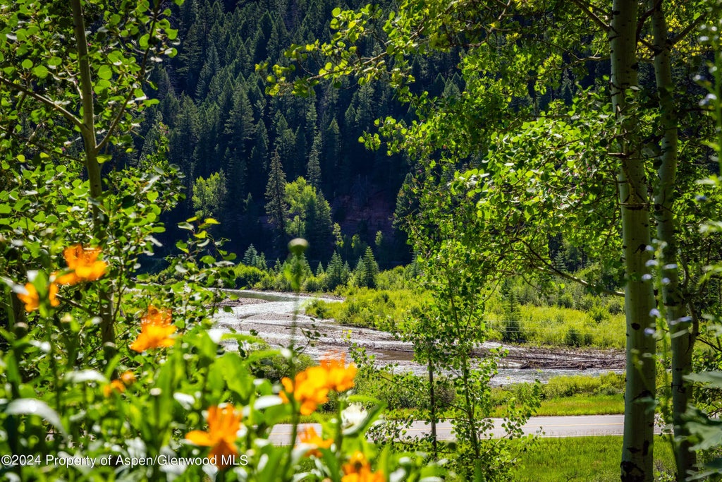 20 of 64 - 389 Elk Mountain Drive, Redstone, CO