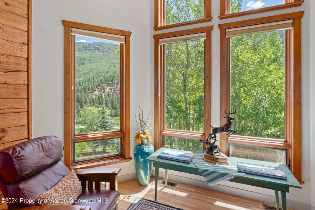 40 of 64 - 389 Elk Mountain Drive, Redstone, CO
