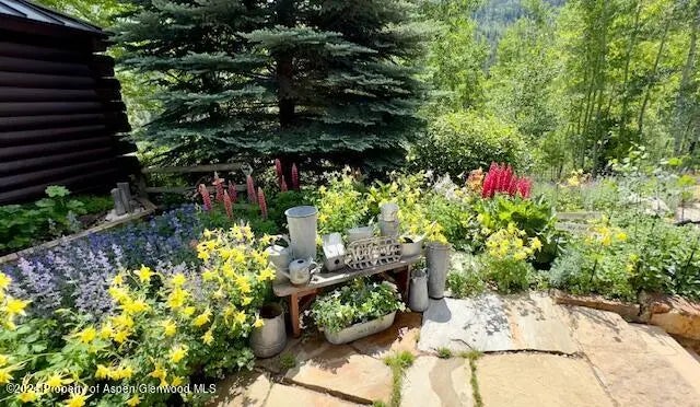 62 of 64 - 389 Elk Mountain Drive, Redstone, CO