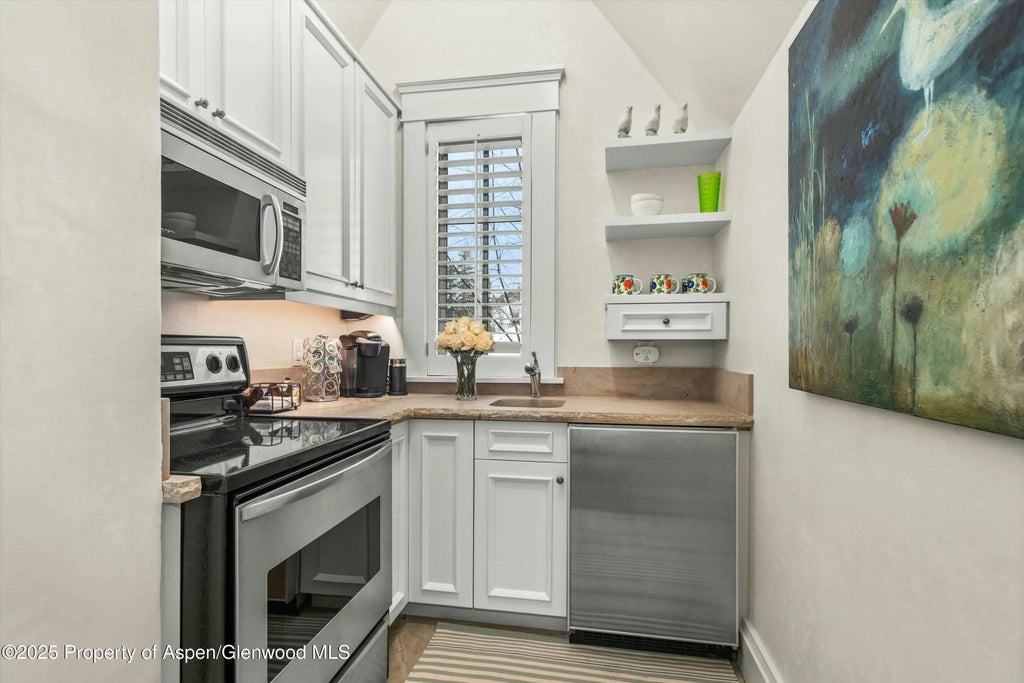 48 of 58 - 99 Steeplechase Drive, Aspen, CO