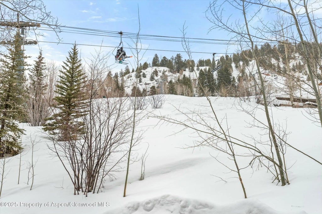 52 of 58 - 99 Steeplechase Drive, Aspen, CO