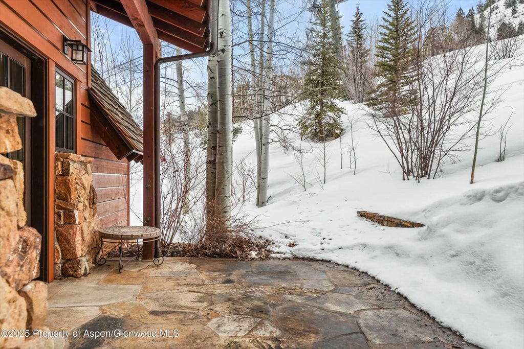 53 of 58 - 99 Steeplechase Drive, Aspen, CO