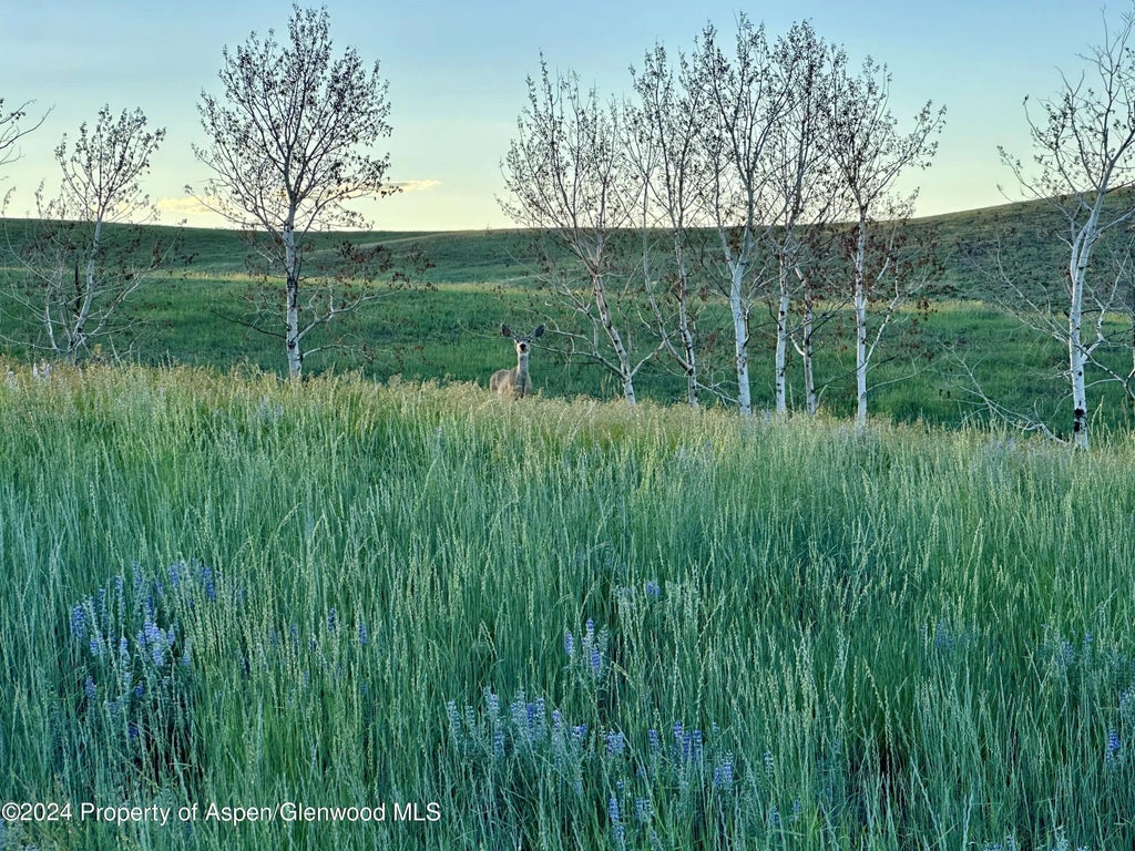 1 of 37 - Tbd County Road 5, Craig, CO