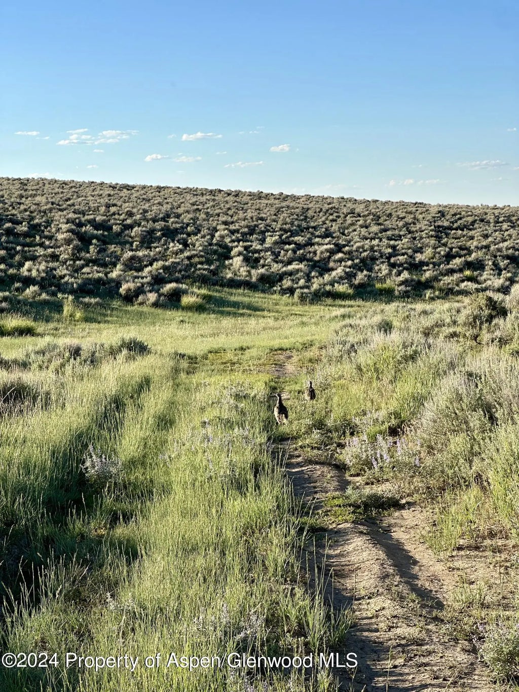 11 of 37 - Tbd County Road 5, Craig, CO