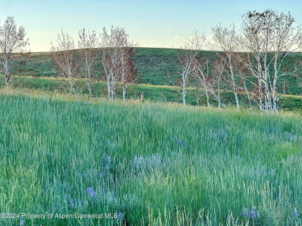 18 of 37 - Tbd County Road 5, Craig, CO
