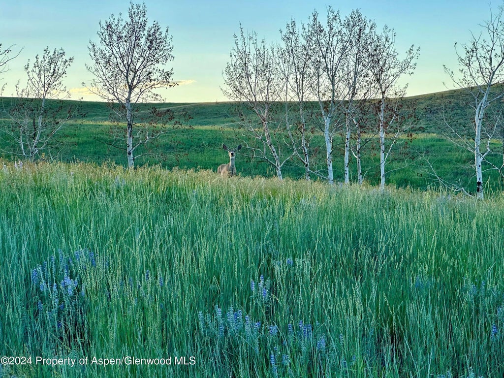 19 of 37 - Tbd County Road 5, Craig, CO