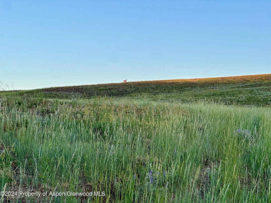 29 of 37 - Tbd County Road 5, Craig, CO