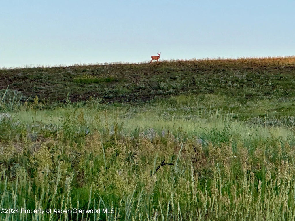 30 of 37 - Tbd County Road 5, Craig, CO