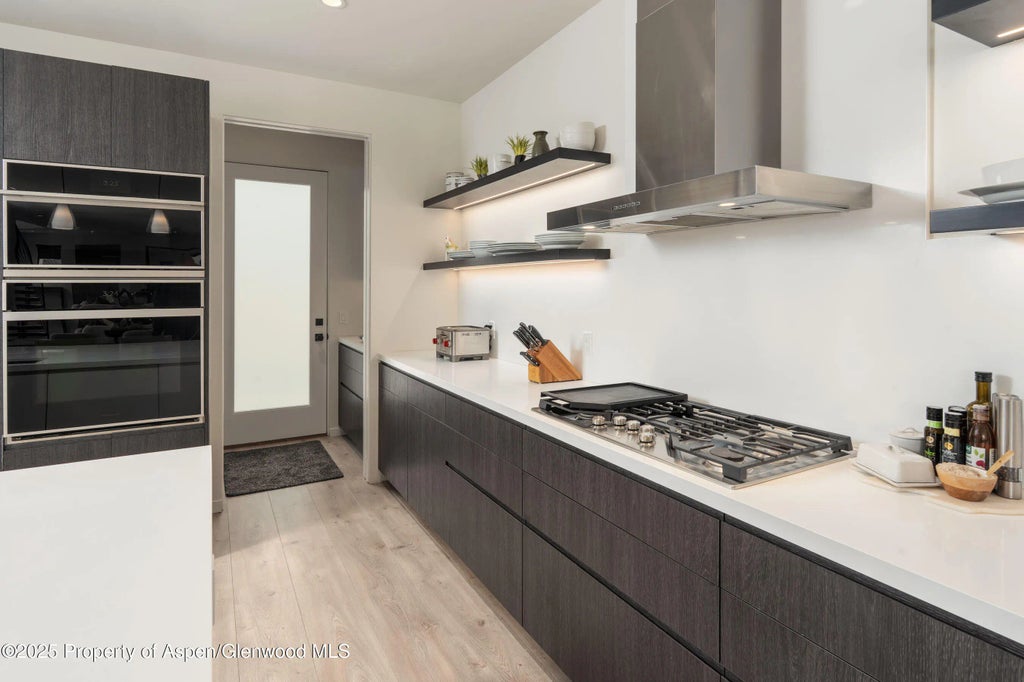 16 of 19 - 219 Juniper Court, Basalt, CO
