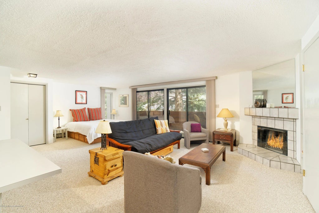 1 of 14 - 935 E Hopkins Avenue 6, Aspen, CO