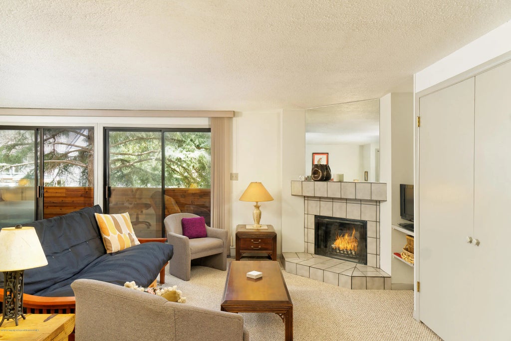 12 of 14 - 935 E Hopkins Avenue 6, Aspen, CO