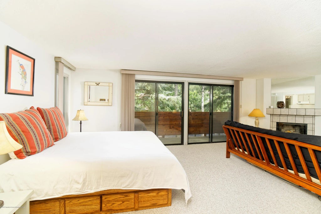 13 of 14 - 935 E Hopkins Avenue 6, Aspen, CO