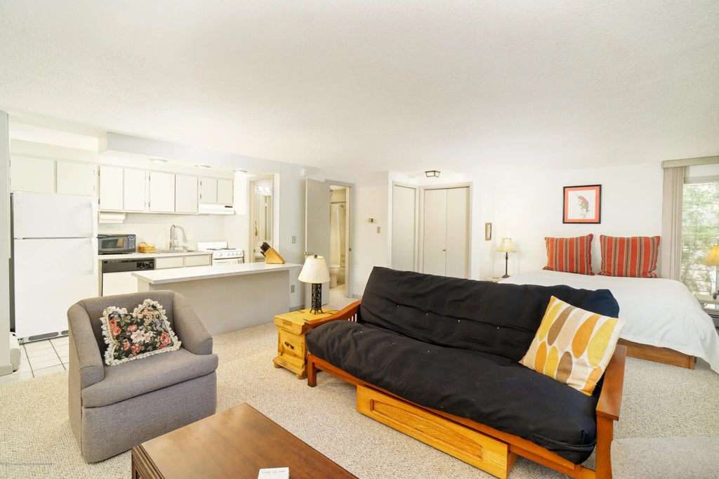 5 of 14 - 935 E Hopkins Avenue 6, Aspen, CO