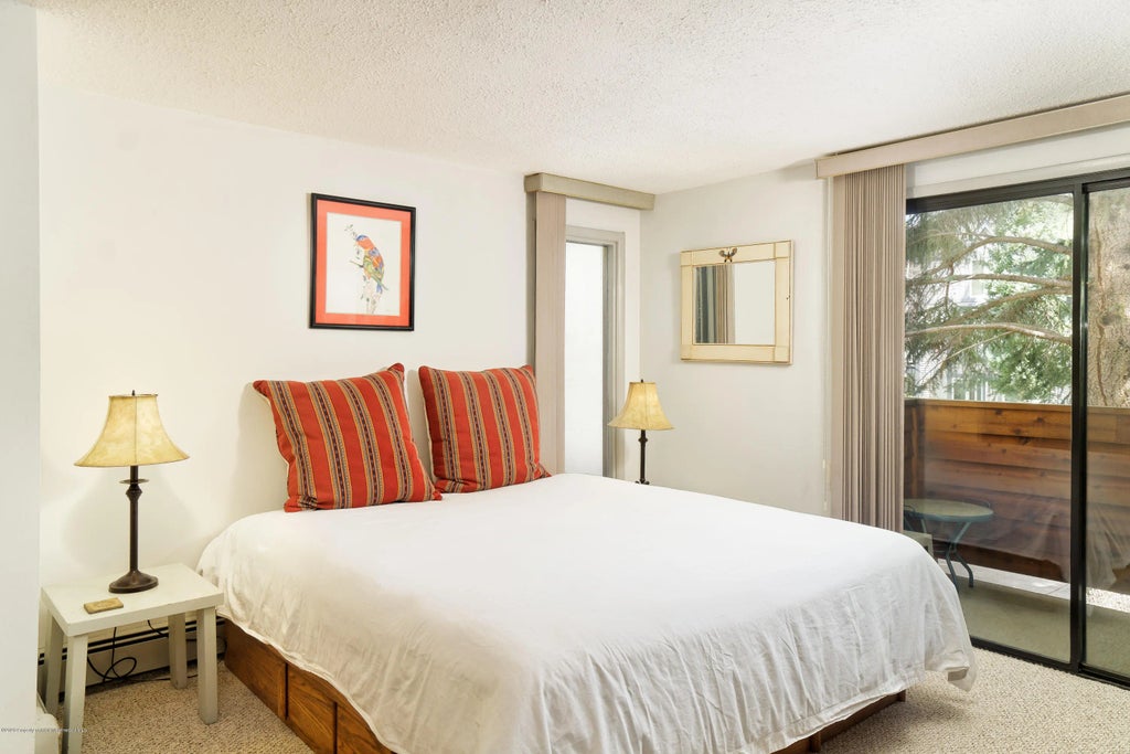 7 of 14 - 935 E Hopkins Avenue 6, Aspen, CO