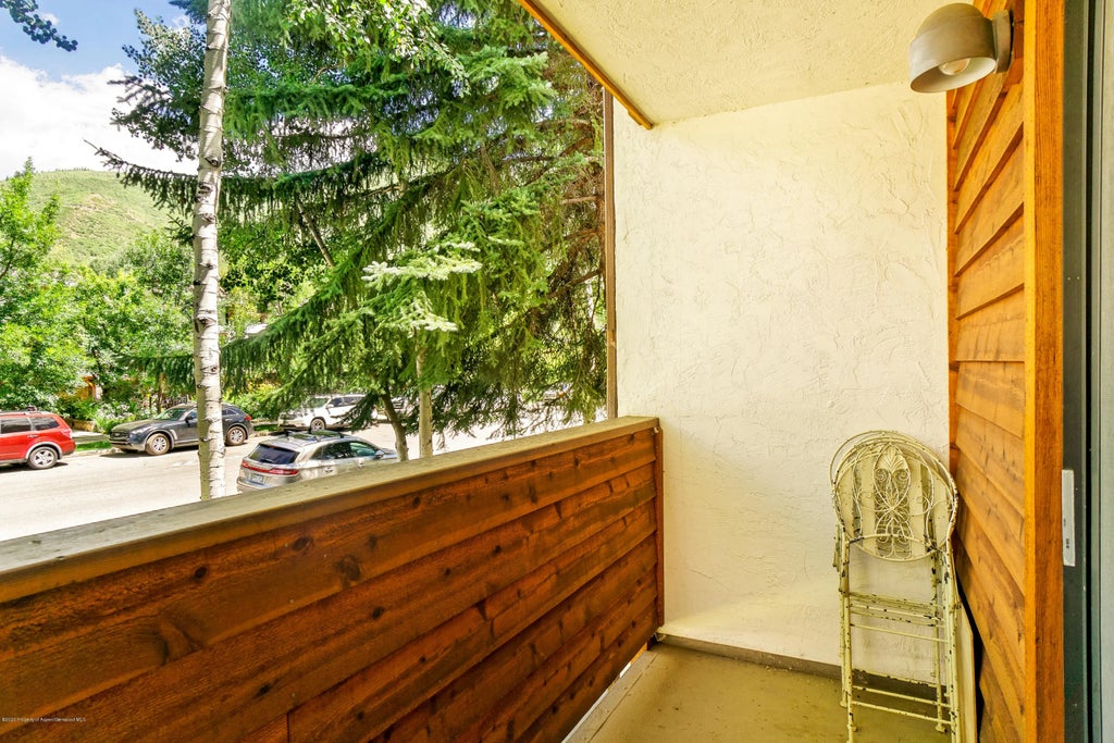 8 of 14 - 935 E Hopkins Avenue 6, Aspen, CO